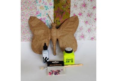 Large Butterfly Kit with Extras